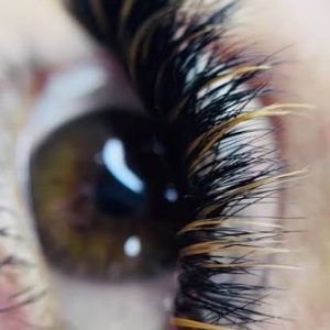مژه آمبره مشکی عسلی شماره 12